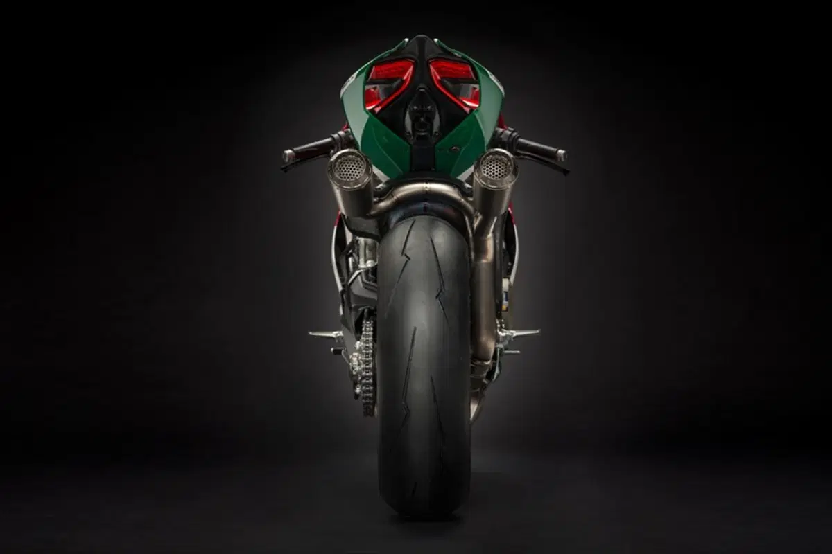 Ducati 1299 Panigale 1299 Panigale R Final Edition (2017 - 20) (5)