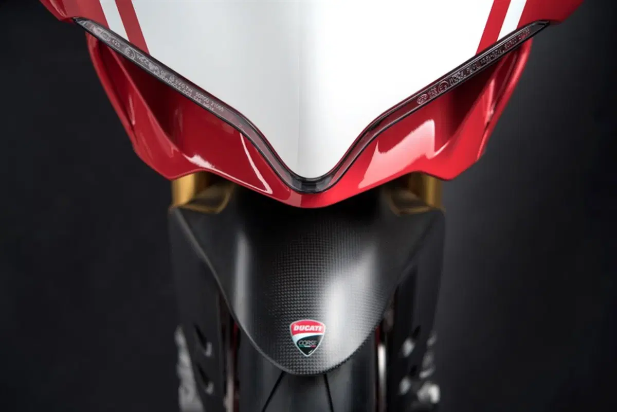 Ducati 1299 Panigale 1299 Panigale R Final Edition (2017 - 20) (8)