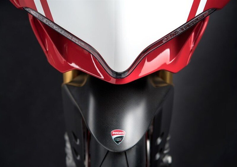 Ducati 1299 Panigale 1299 Panigale R Final Edition (2017 - 20) (8)