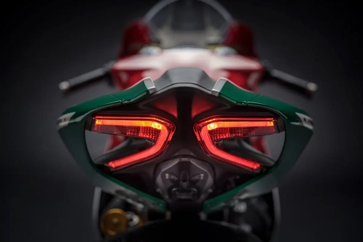 Ducati 1299 Panigale 1299 Panigale R Final Edition (2017 - 20) (9)