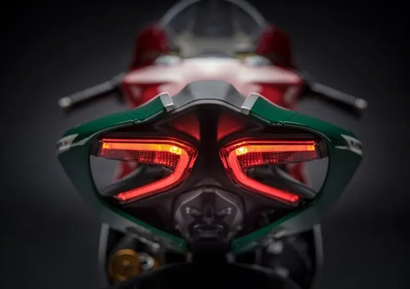 Ducati 1299 Panigale 1299 Panigale R Final Edition (2017 - 20) (9)