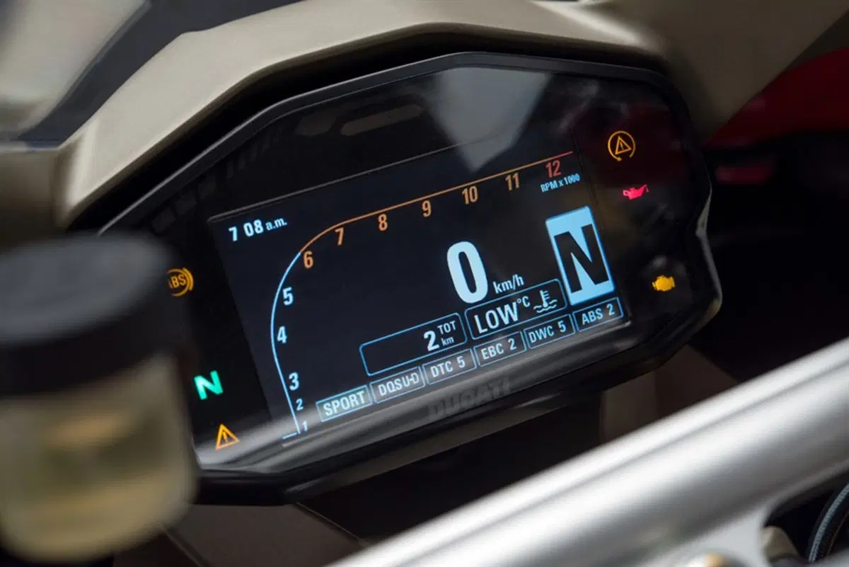 Ducati 1299 Panigale 1299 Panigale R Final Edition (2017 - 20) (11)