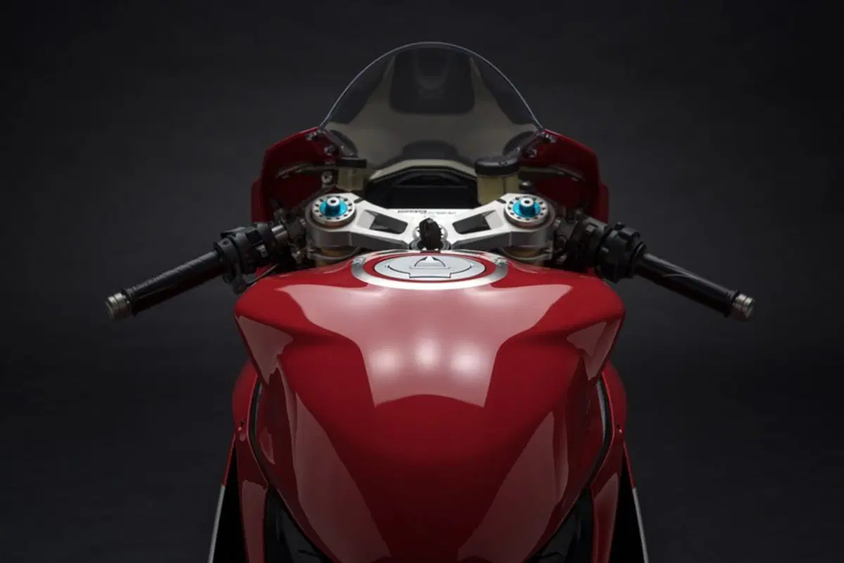 Ducati 1299 Panigale 1299 Panigale R Final Edition (2017 - 20) (10)