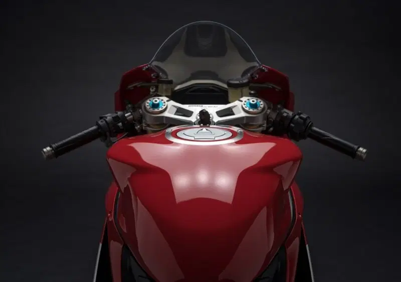 Ducati 1299 Panigale 1299 Panigale R Final Edition (2017 - 20) (10)