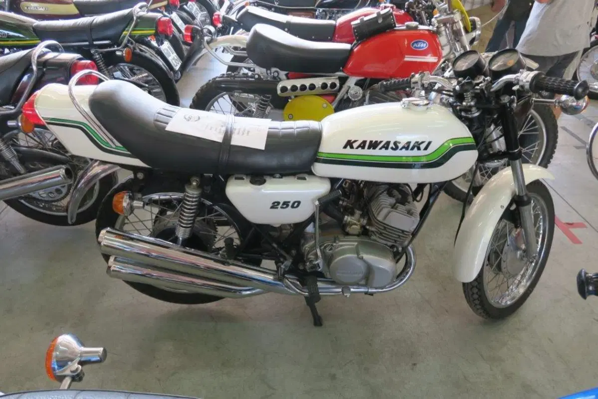 Mostra Scambio Imola, un successo (4)