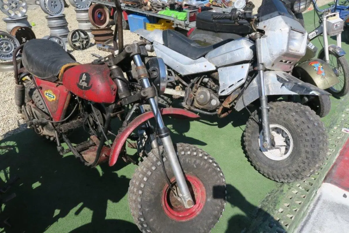 Mostra Scambio Imola, un successo (27)