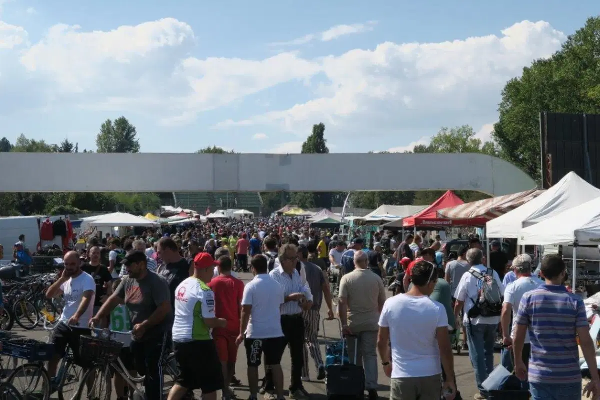 Mostra Scambio Imola, un successo (41)
