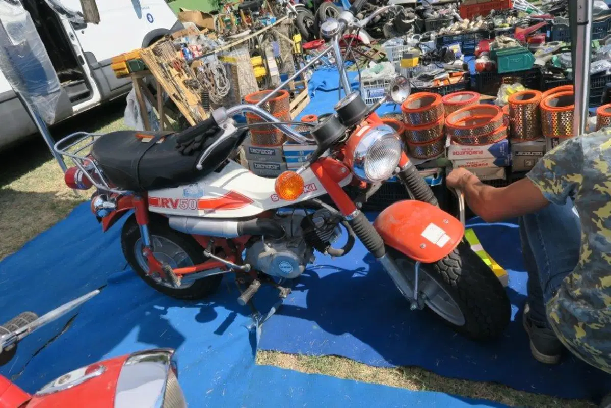 Mostra Scambio Imola, un successo (32)