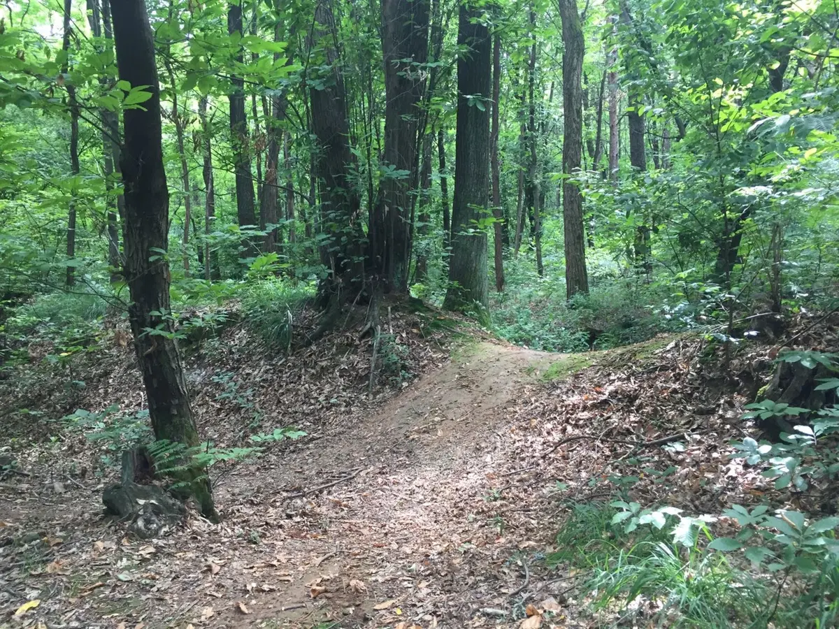 Ducati Como, un giorno in fuoristrada con la Multistrada Enduro (26)