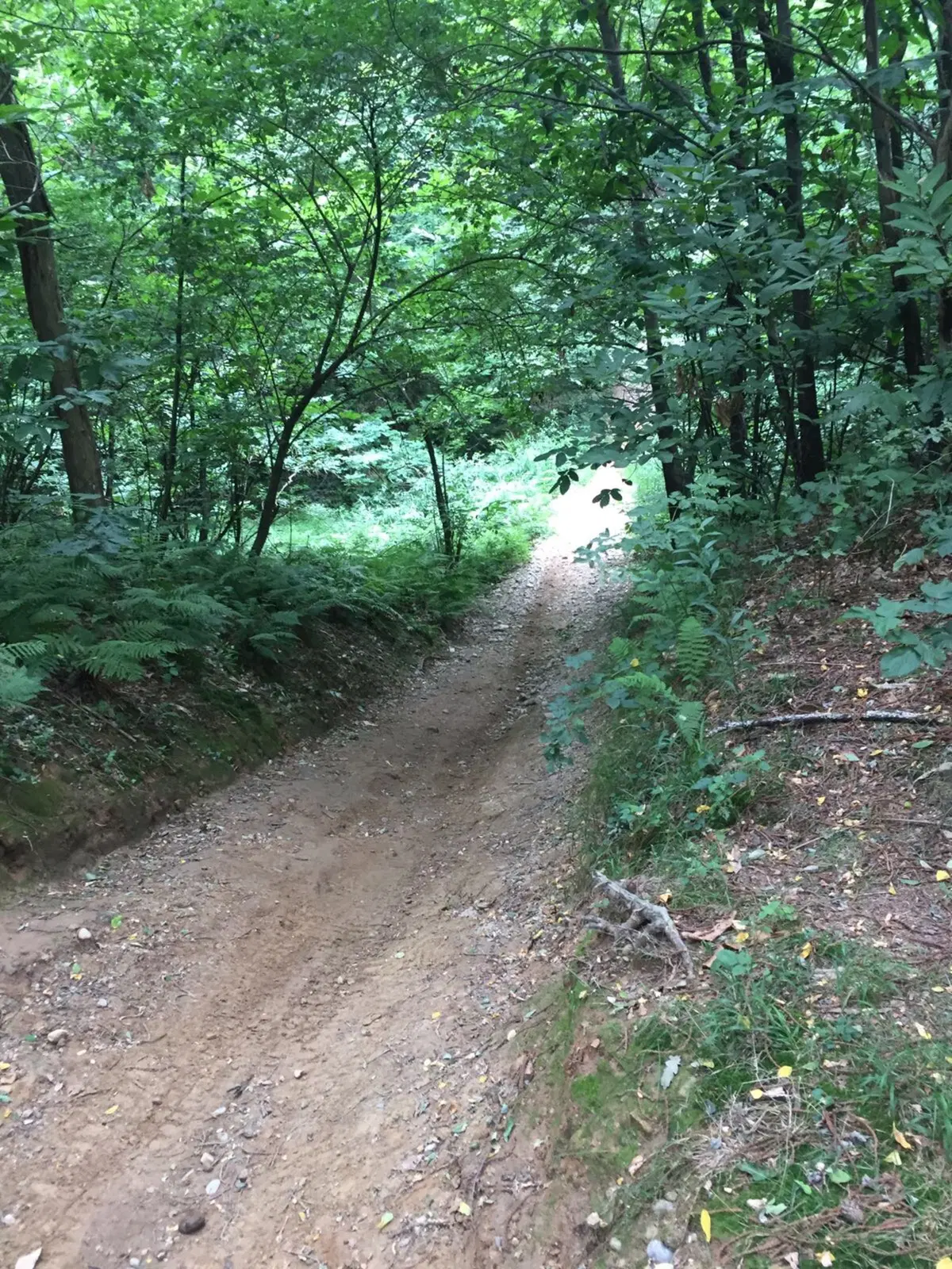 Ducati Como, un giorno in fuoristrada con la Multistrada Enduro (28)