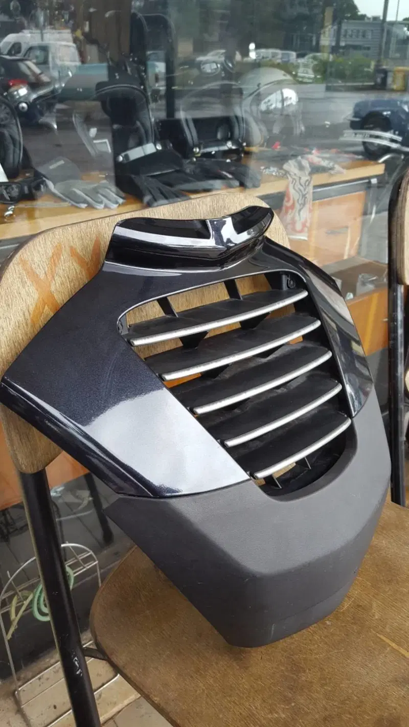 Griglia Radiatore MP3 250 Piaggio (5)