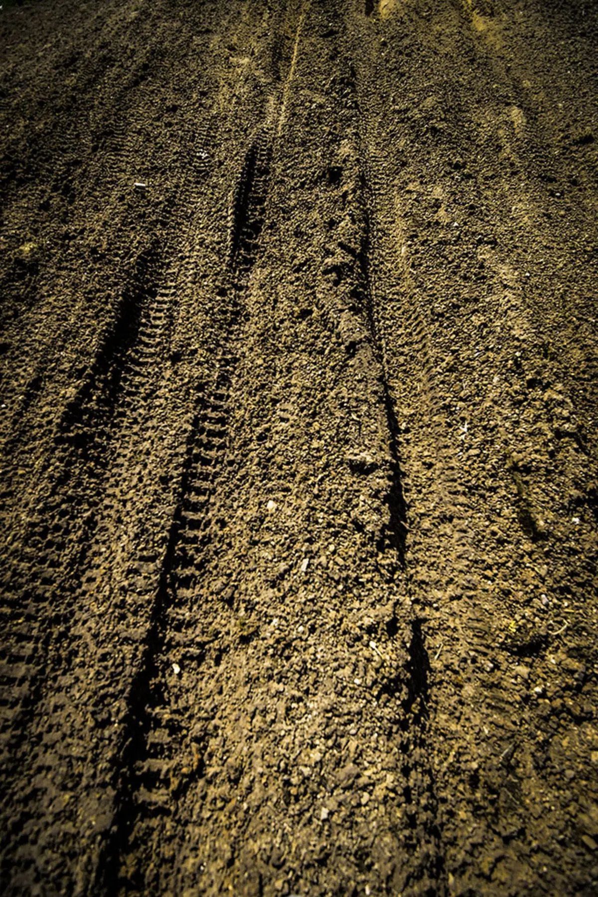 MXGP, Messico 2015. Le foto più spettacolari (6)