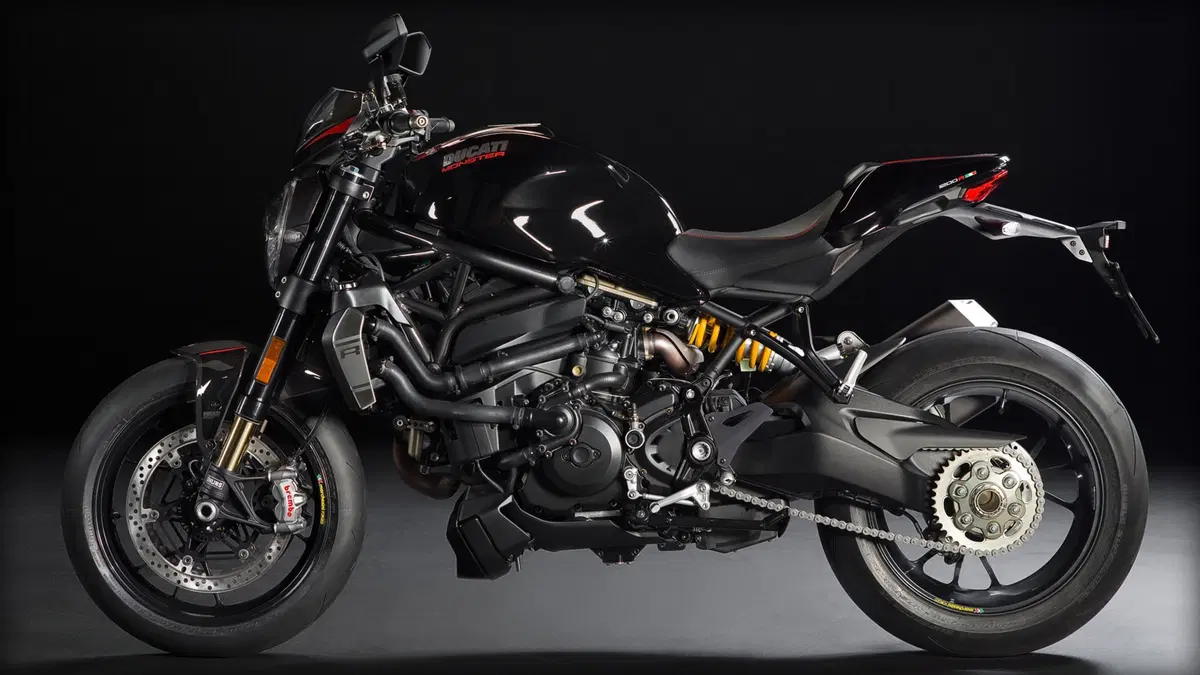 Ducati Monster 1200 Monster 1200 R (2016 - 19) (7)