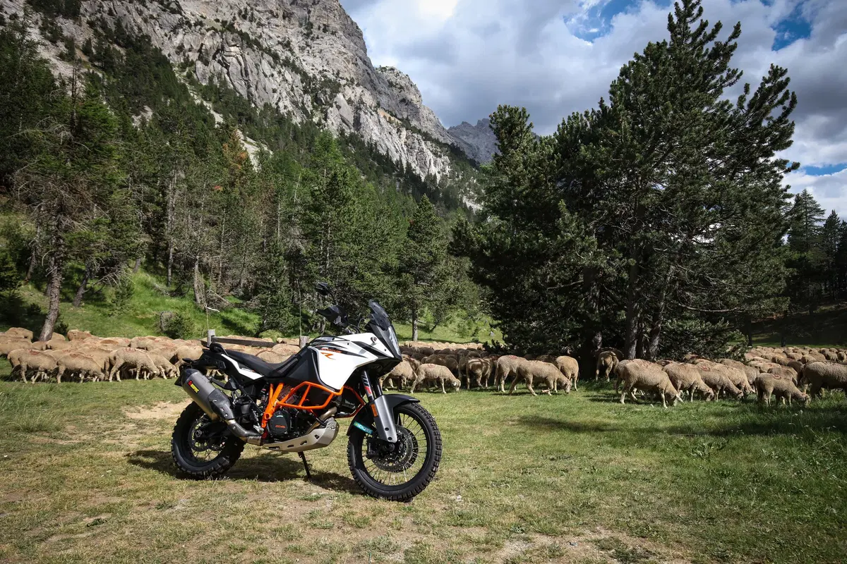 KTM 1090 Adventure R Test. L'endurona sogna i rally (7)