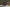 Honda CB650F 2017: la naked si fa in quattro