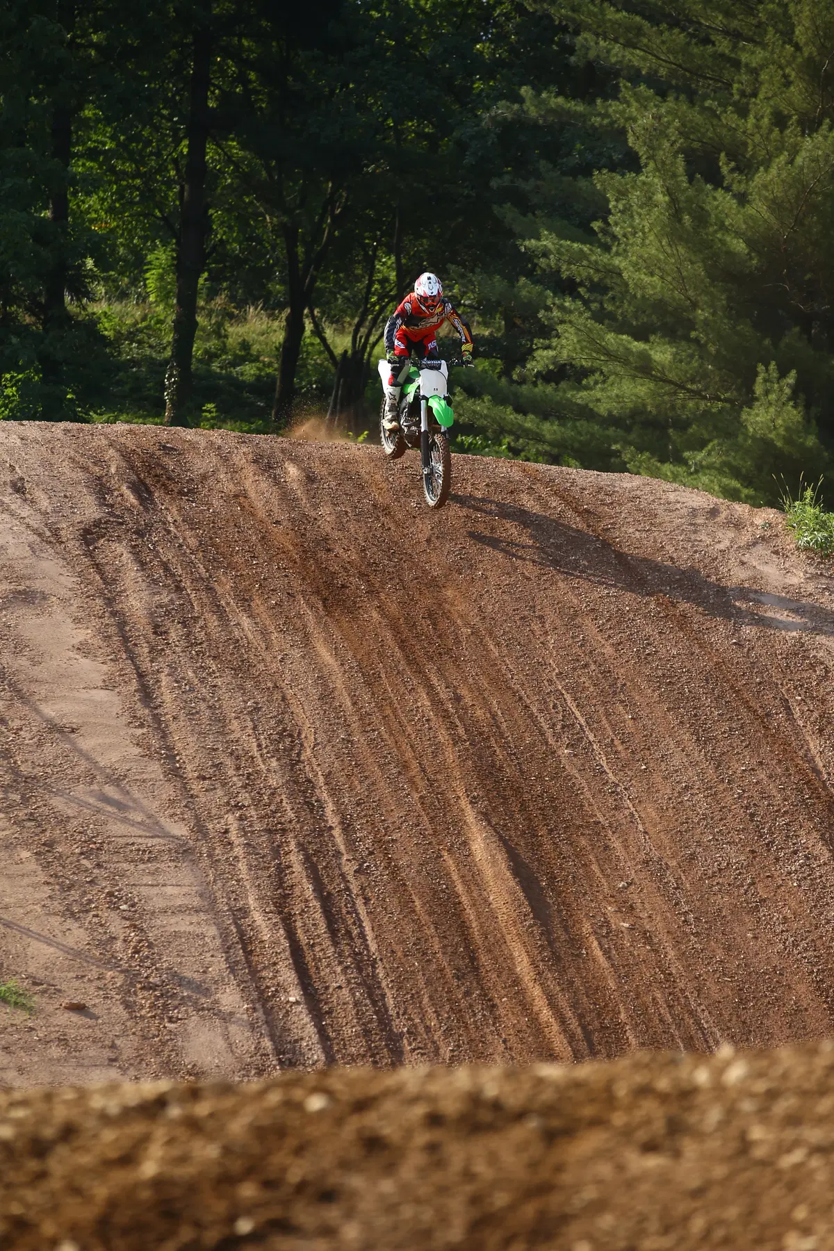 Kawasaki KX 450F 2016 (5)
