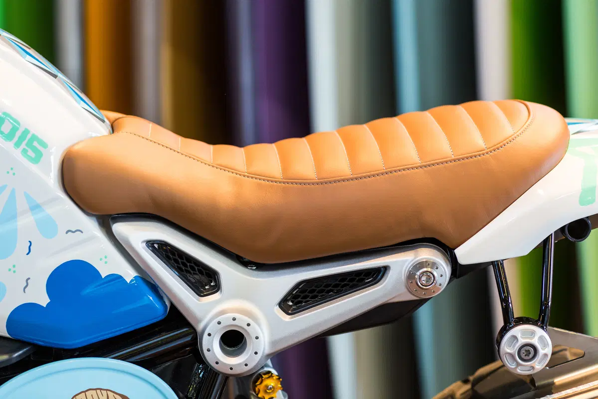 BMW R nineT Scrambler (13)