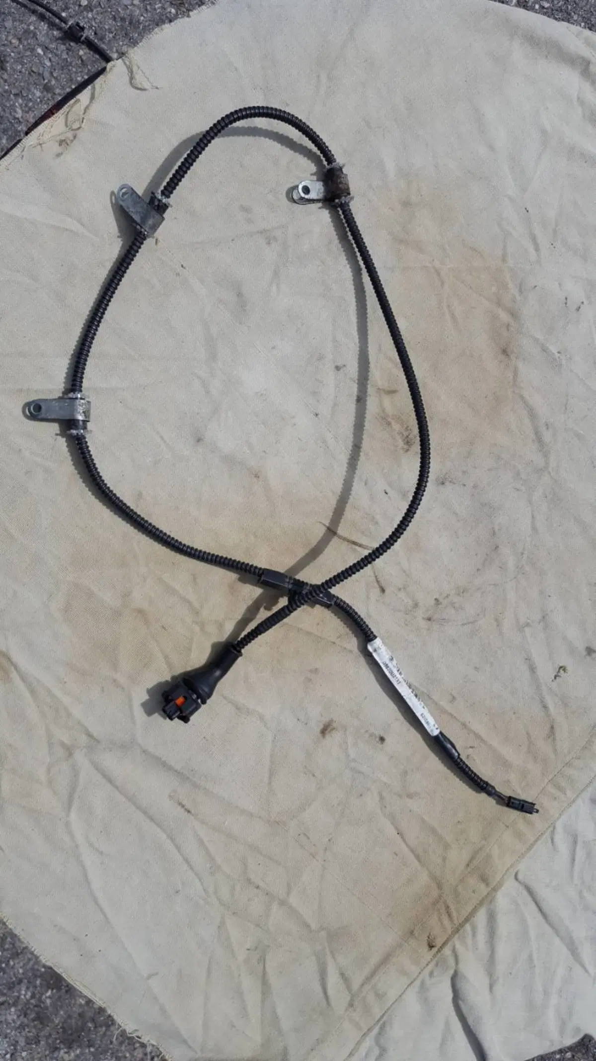 Cavo Sensore velocità Dx Piaggio