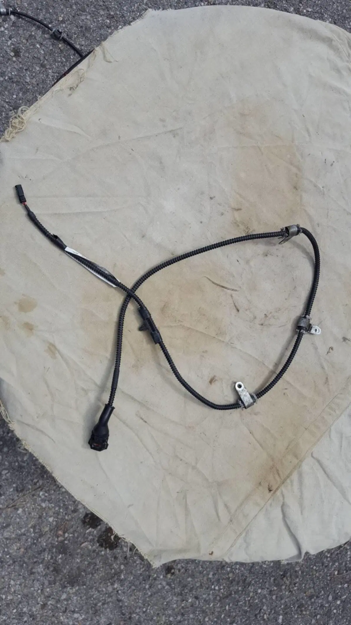 Cavo Sensore velocità Dx Piaggio (2)