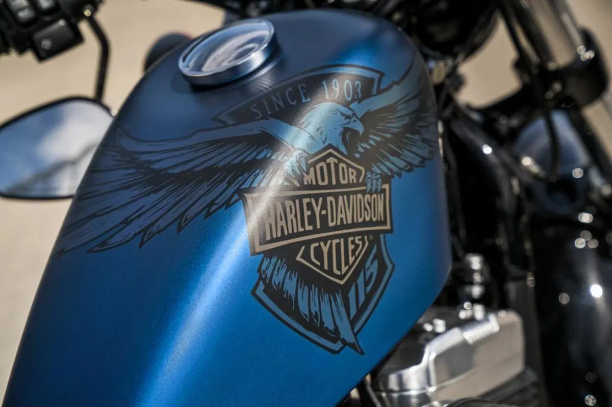Harley-Davidson 2018: novità 115° Anniversary e 8 nuove Softail (4)