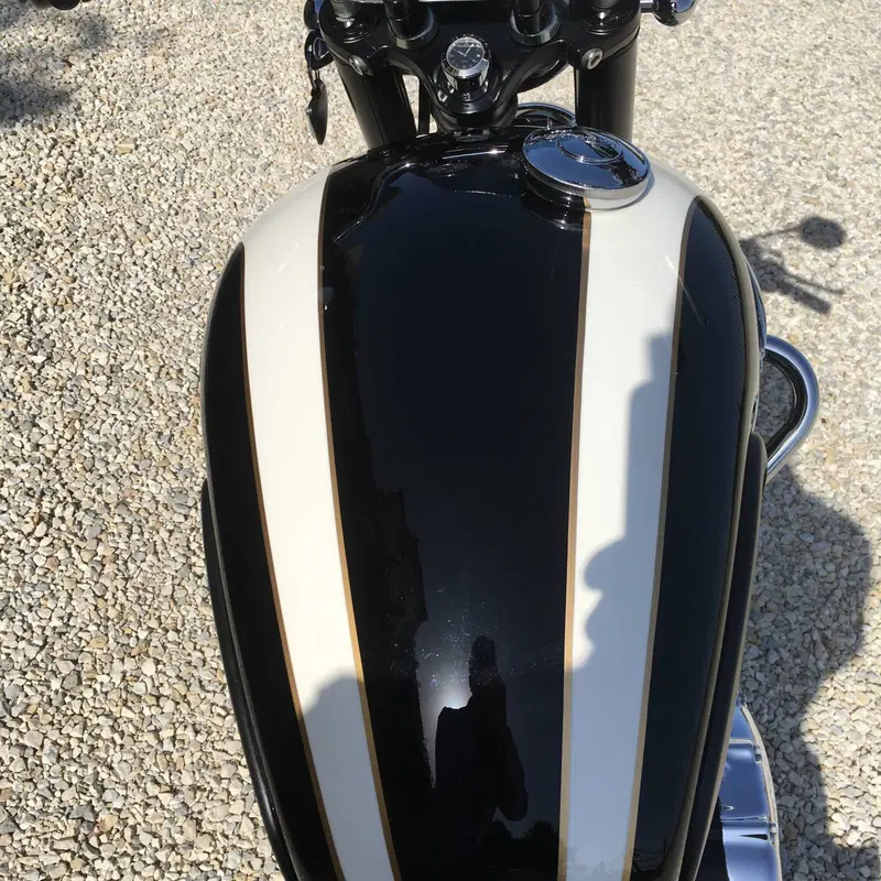 Triumph Bonneville T100 (2008 - 16) (6)