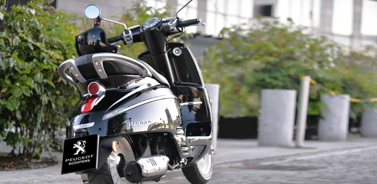 Peugeot Django 50 Django 50 Active 4T (2017 - 18) (3)