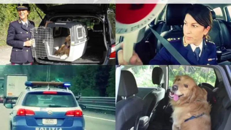 Polizia Stradale in azione: come trasportare il cane in auto