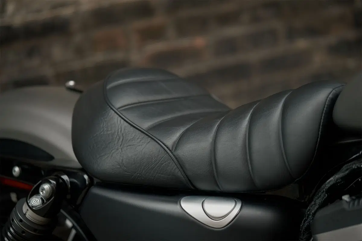 Harley-Davidson Sportster 883 Iron (2017 - 20) - XL 883N (19)
