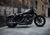 Harley-Davidson 883 Iron (2017 - 20) - XL 883N (17)