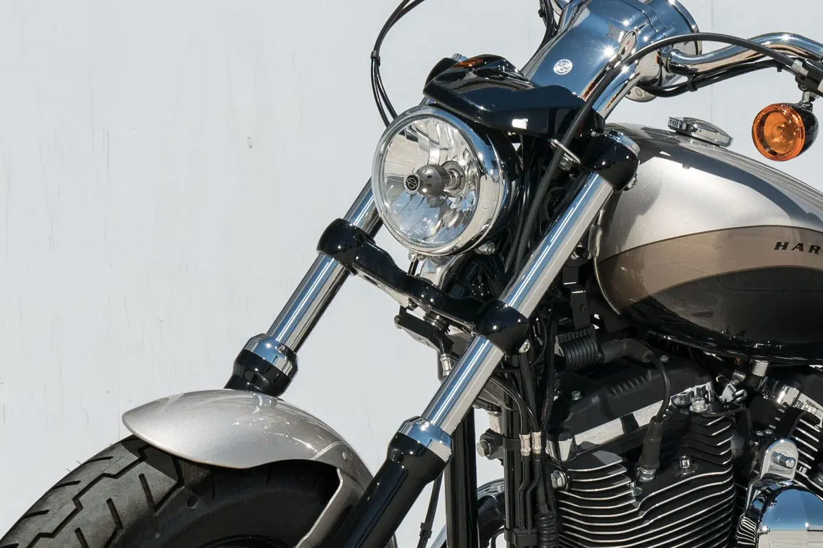 Harley-Davidson Sportster 1200 Custom (2018 - 20) - XL1200C (13)