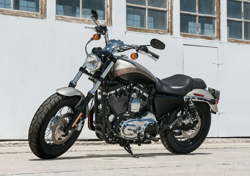 Harley-Davidson Sportster 1200 Custom (2018 - 20) - XL1200C (11)