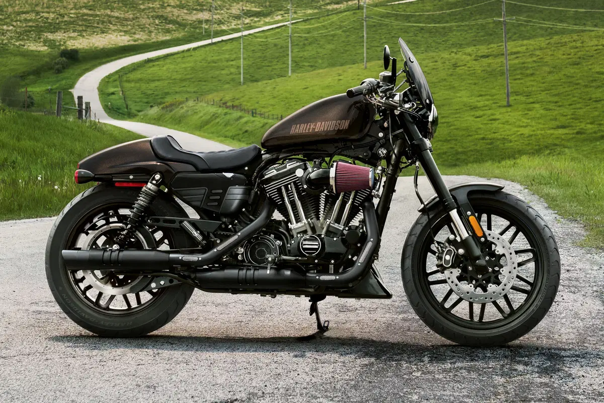 Harley-Davidson Sportster 1200 Roadster (2017 - 20) - XL 1200R (11)