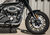 Harley-Davidson 1200 Roadster (2017 - 20) - XL 1200R (14)