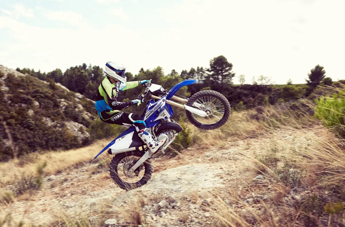 Yamaha WR250 2016 (2t) (3)