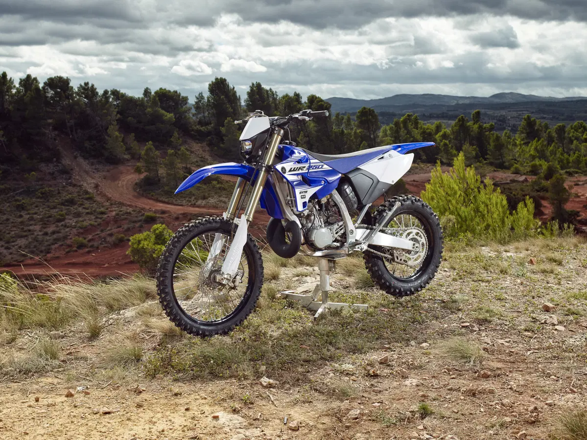 Yamaha WR250 2016 (2t) (4)