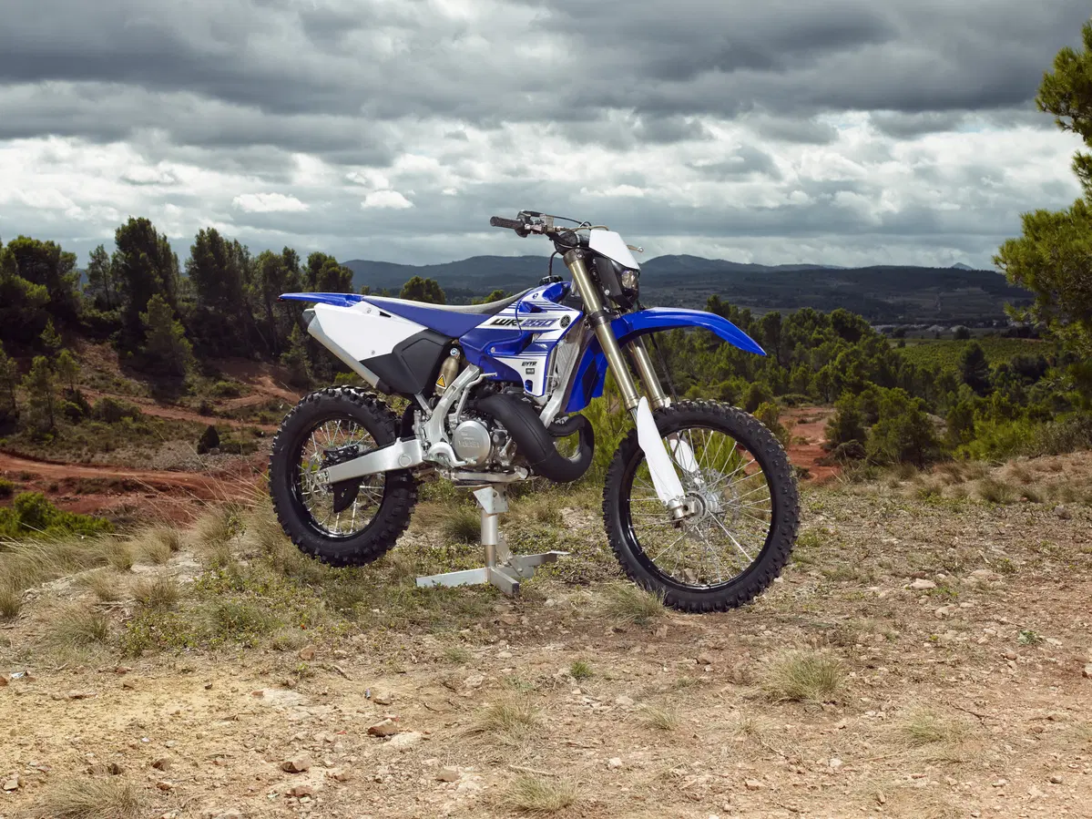 Yamaha WR250 2016 (2t) (5)