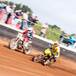 Flat Track: cartoline dal Flatlands festival