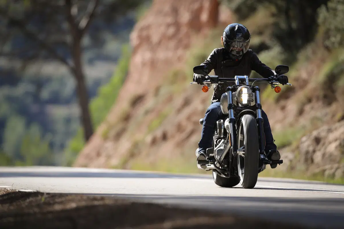 Harley-Davidson Sotftail 2018 (10)