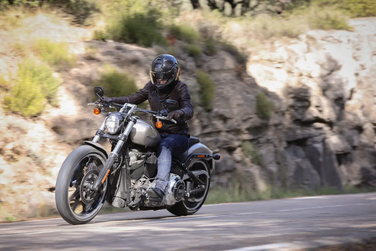 Harley-Davidson Sotftail 2018 (12)