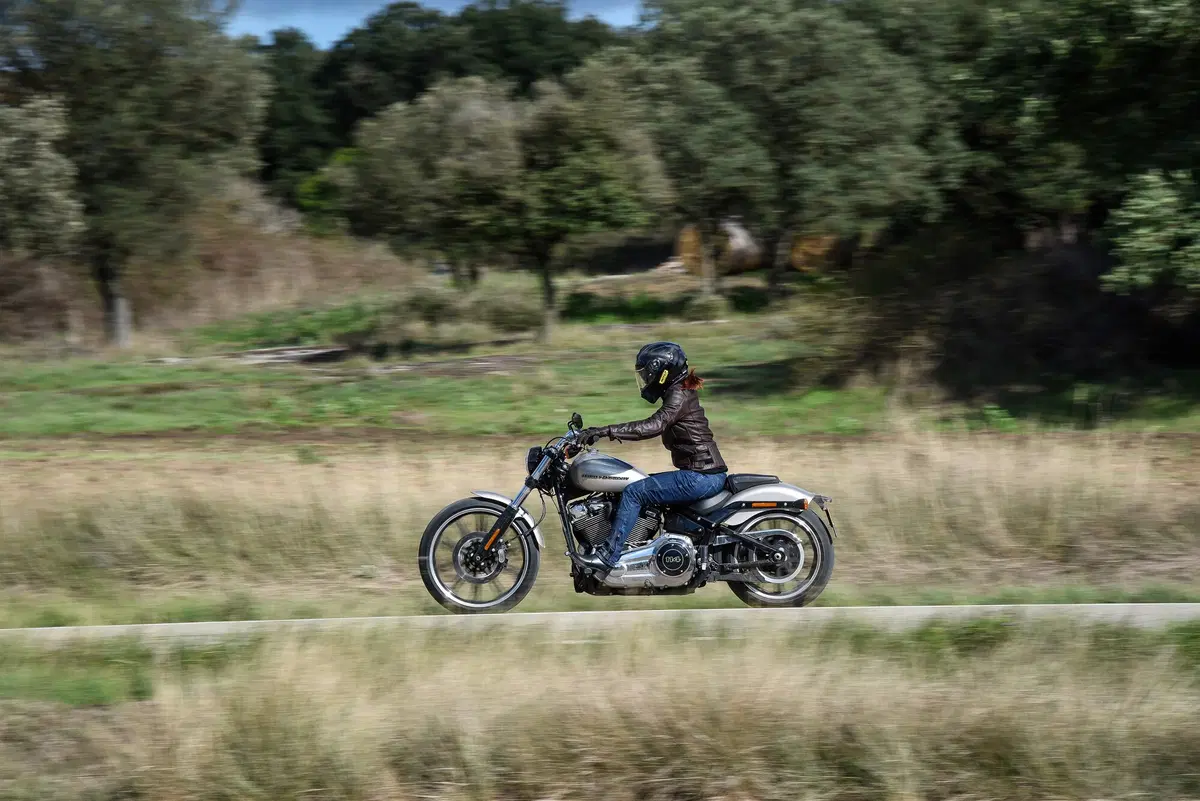 Harley-Davidson Sotftail 2018 (14)