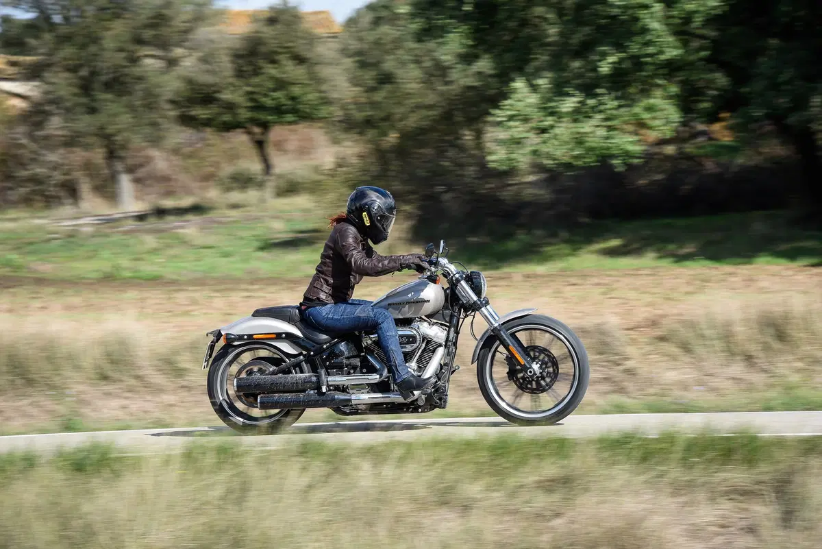 Harley-Davidson Sotftail 2018 (15)