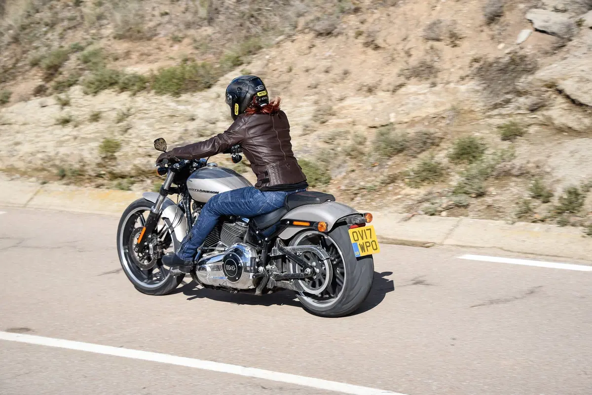Harley-Davidson Sotftail 2018 (9)