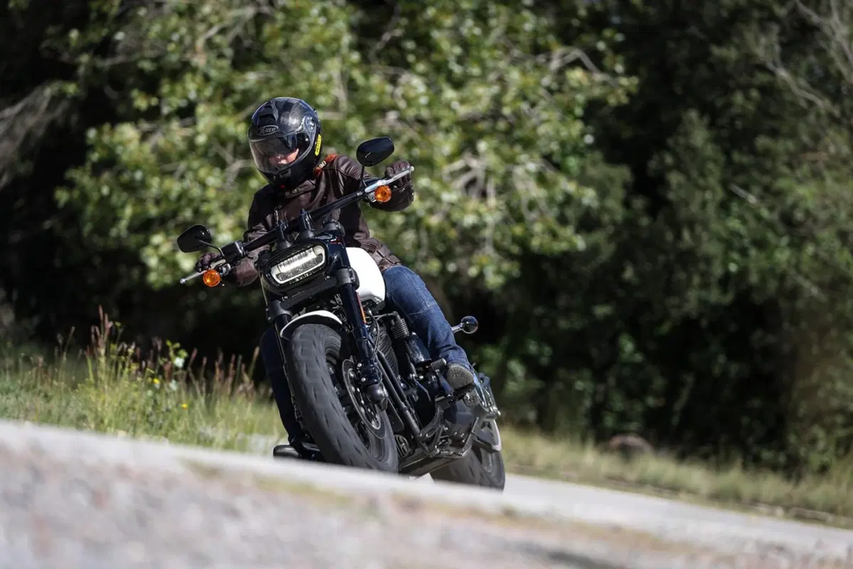 Harley-Davidson Sotftail 2018 (31)