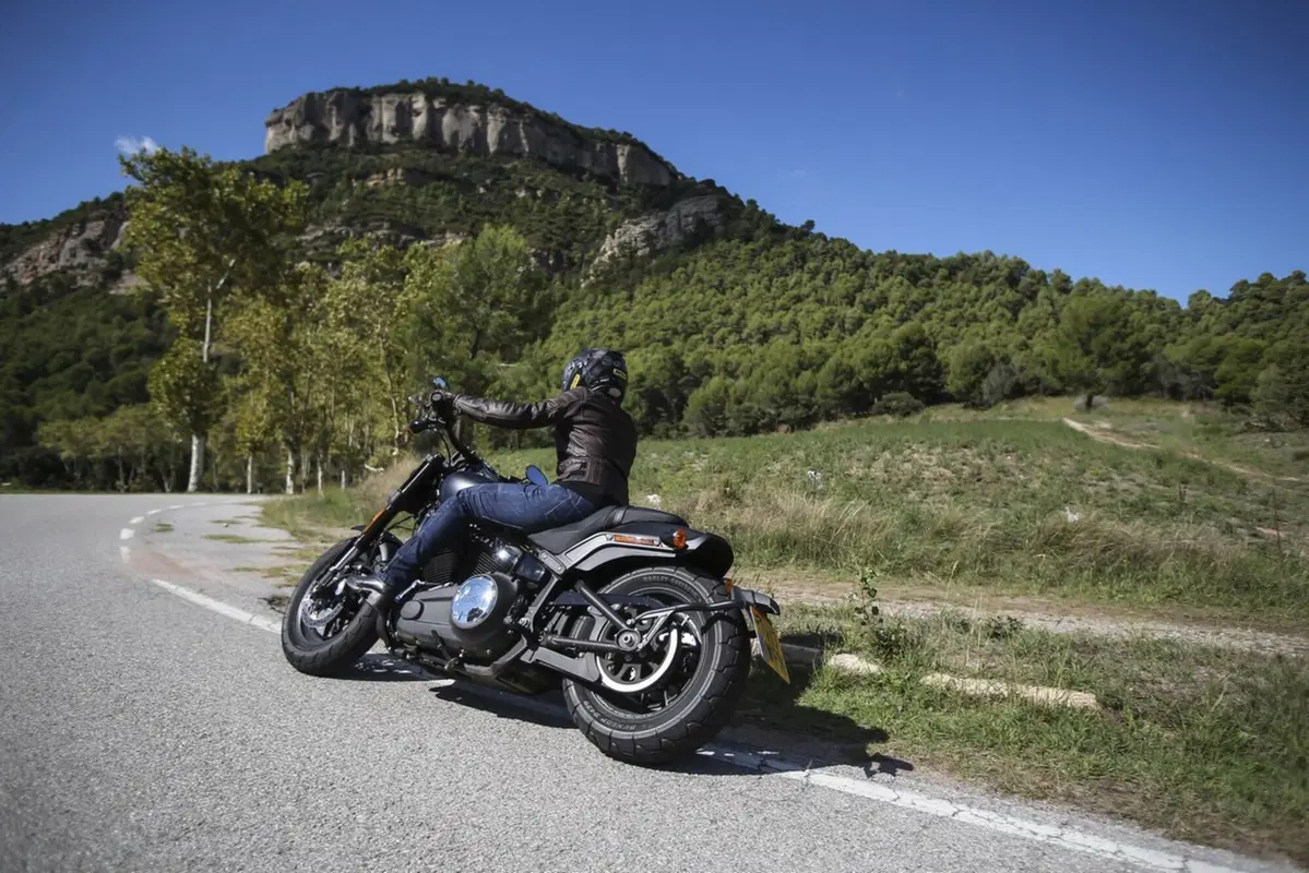 Harley-Davidson Sotftail 2018 (33)