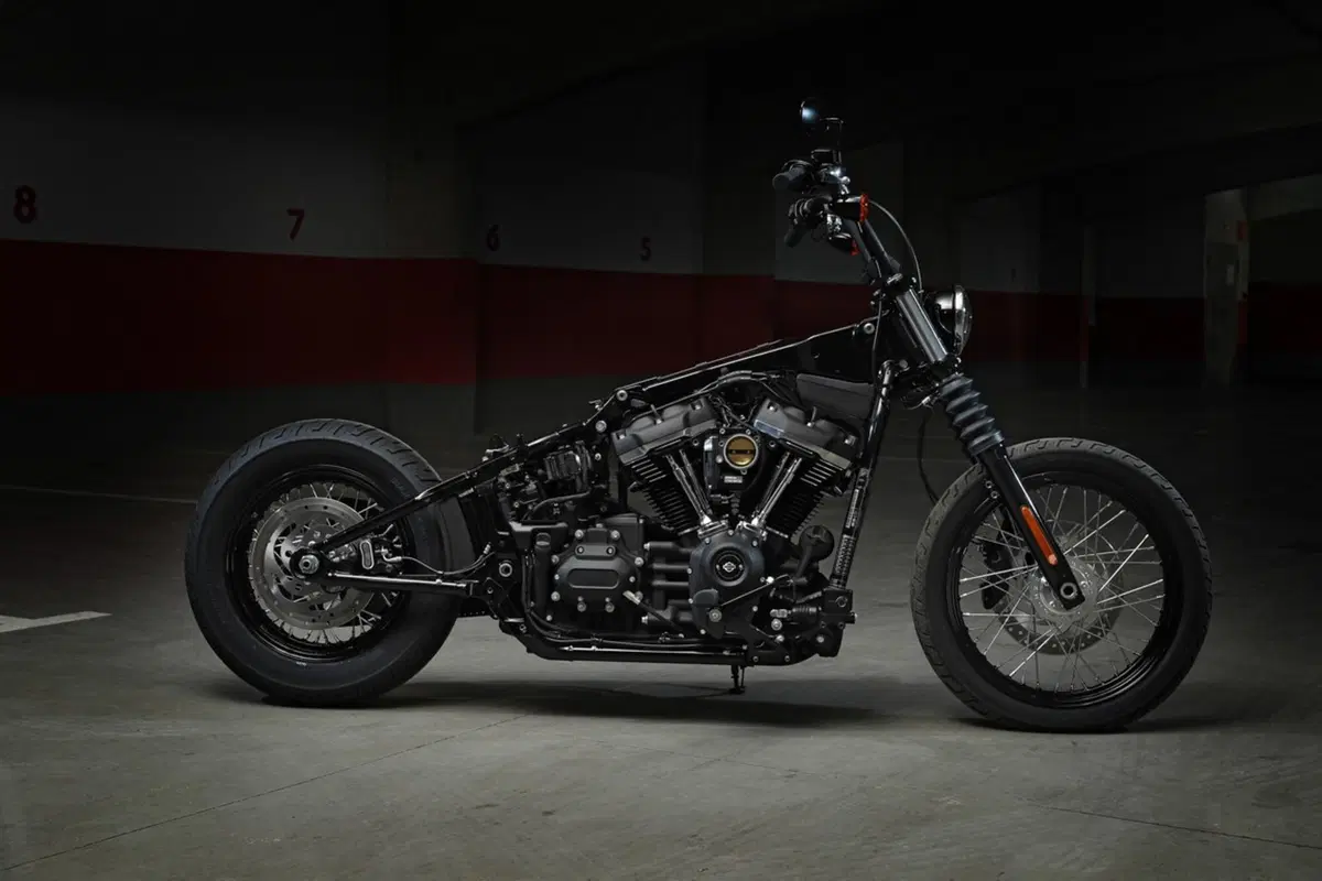 Harley-Davidson Sotftail 2018 (36)