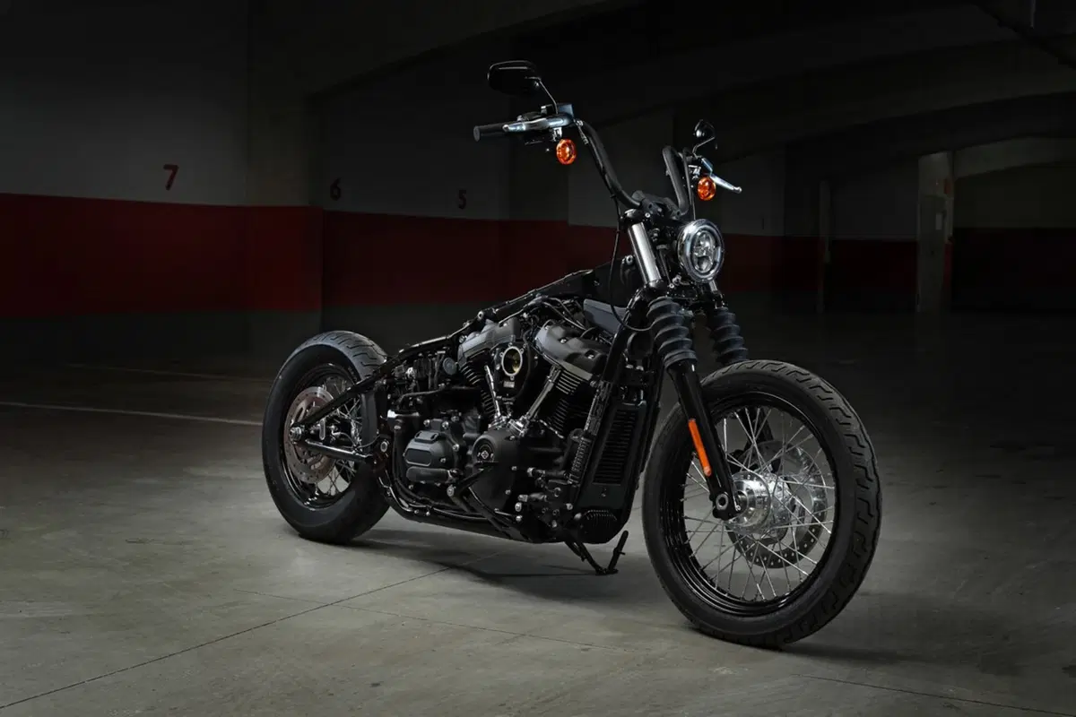 Harley-Davidson Sotftail 2018 (37)