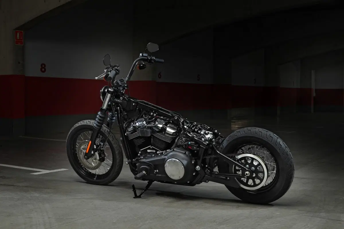 Harley-Davidson Sotftail 2018 (39)