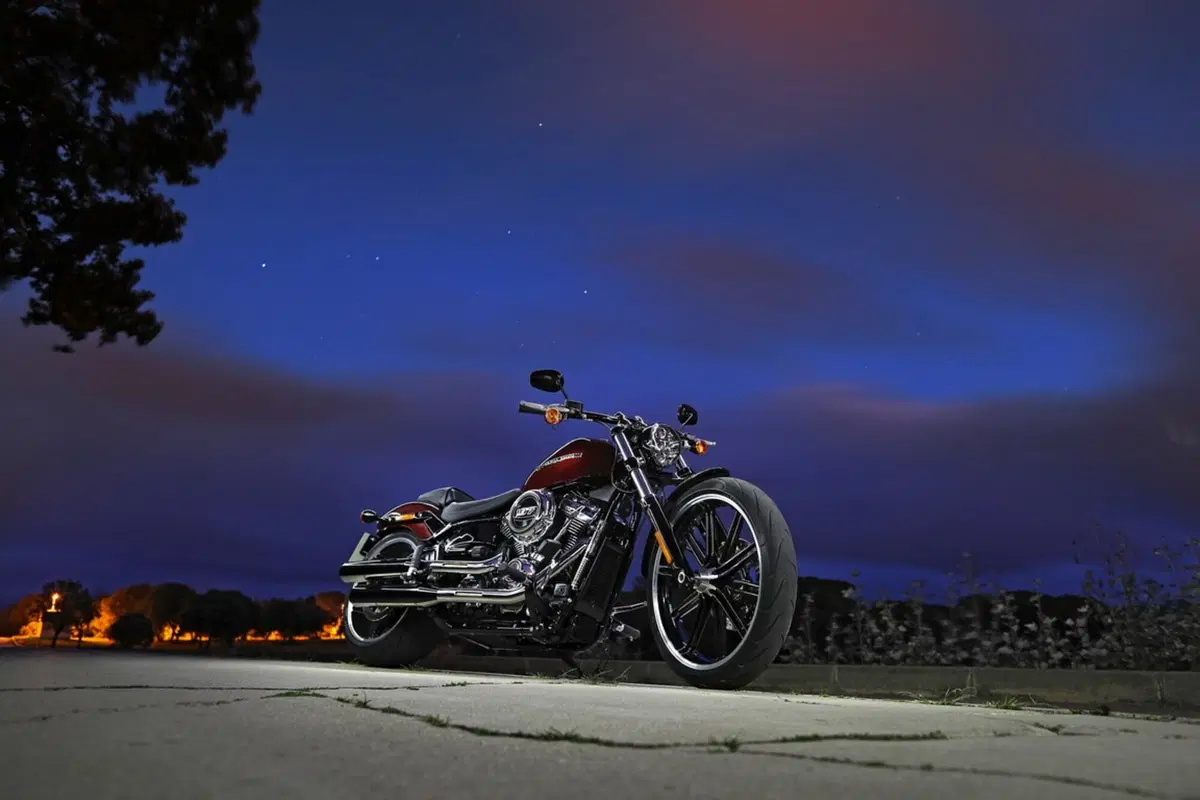 Harley-Davidson Sotftail 2018 (43)