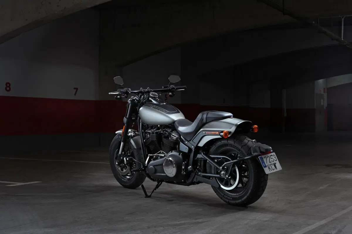 Harley-Davidson Sotftail 2018 (53)
