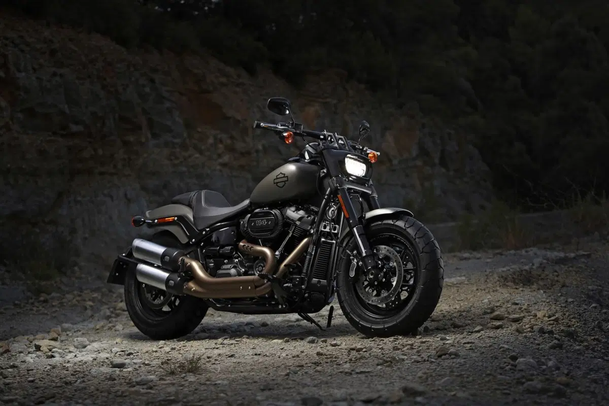 Harley-Davidson Sotftail 2018 (54)